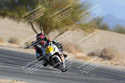 media/Jan-14-2024-SoCal Trackdays (Sun) [[2e55ec21a6]]/Turn 4 Tree of Life (155pm)/